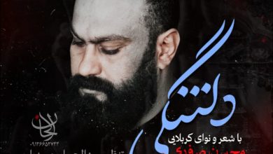 نماهنگ دلتنگی با نوای محسن صفری