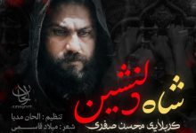 نماهنگ شاه دلنشین با نوای محسن صفری